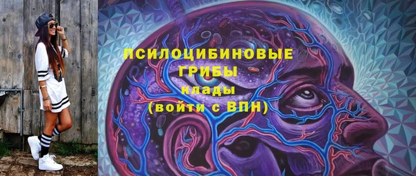 стафф Краснослободск