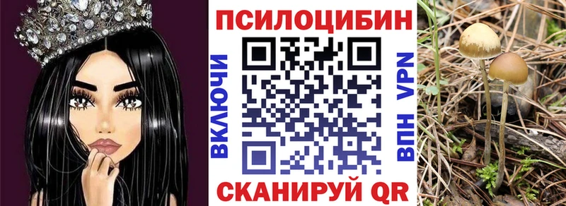 Псилоцибиновые грибы Psilocybe  Благовещенск 