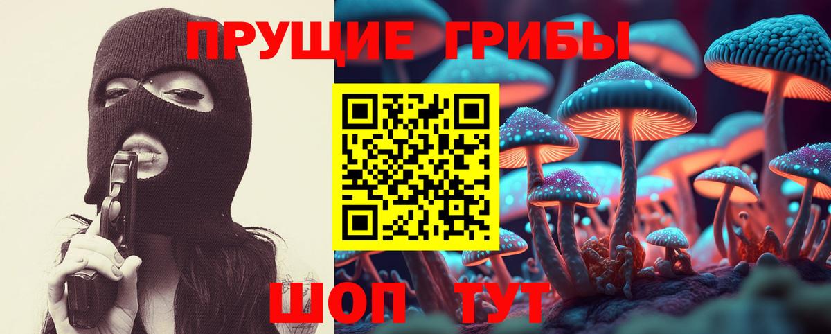 Псилоцибиновые грибы Psilocybine cubensis  Псилоцибиновые грибы MAGIC MUSHROOMS  Благовещенск 